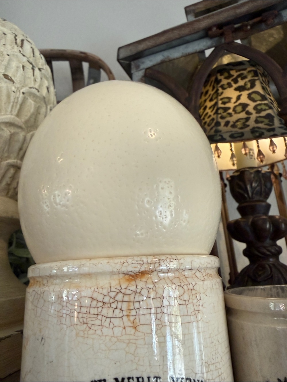 Large Real Blown Ostrich Egg - Picture 14 of 17